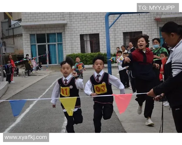 绿茵逐梦聚焦球星风采畅谈赛场内外精彩故事